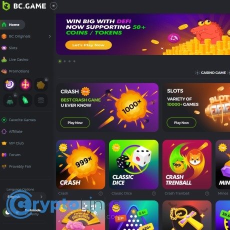 BC.Game Platform Hub Explained Your Guide to Online Gaming