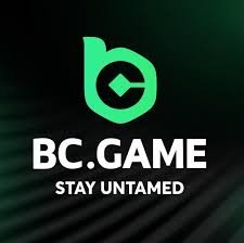 Your Ultimate BC.Game Bonus Guide -185284858