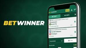 Explore the BetWinner Gambling Platform A Comprehensive Guide 2105694579 Explore the BetWinner Gambling Platform A Comprehensive Guide 2105694579